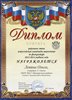 2013-2014 Левина Ольга 11л (РО физкультура)
